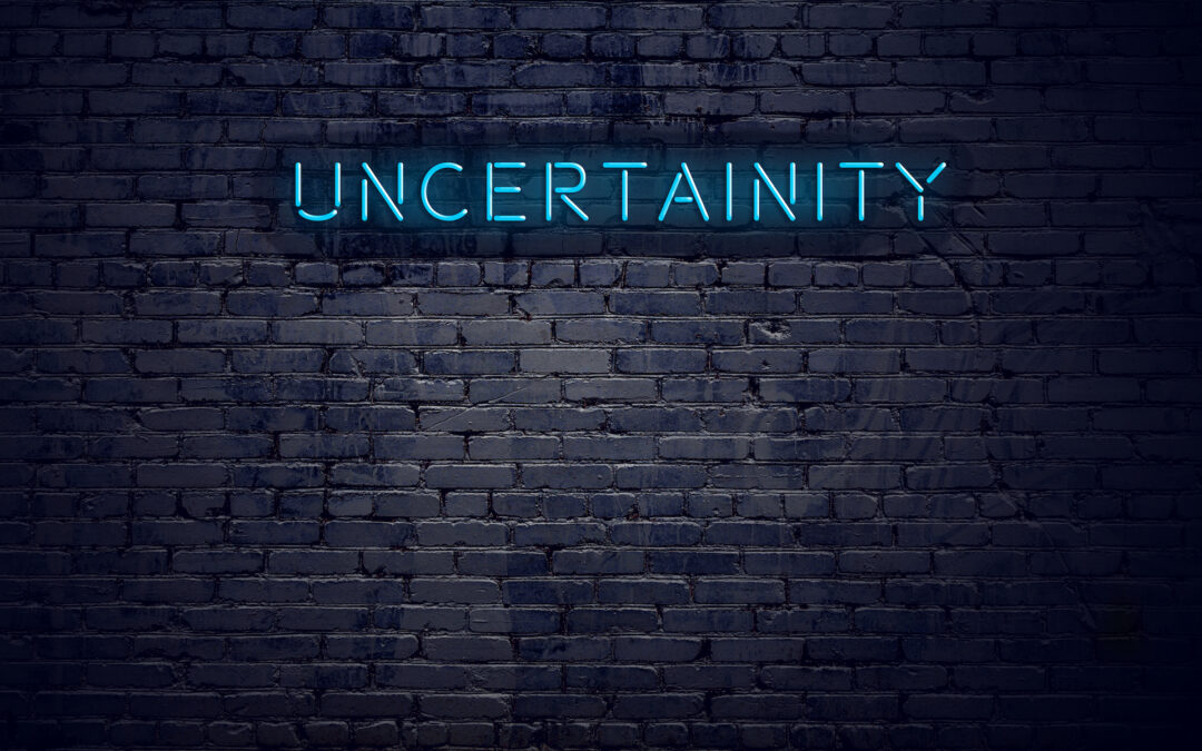 What does it take to lead in uncertain times