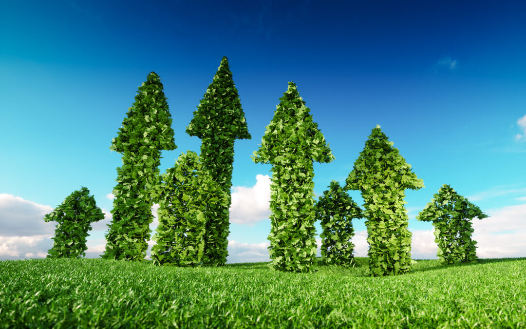 Revolutionizing Leadership: The Sustainable Success Secret!